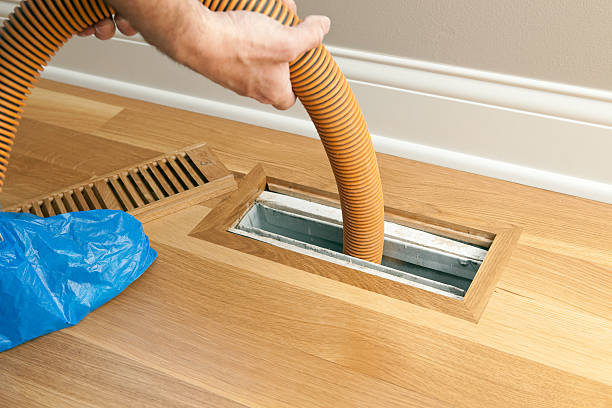 Best Affordable Air Duct Cleaning  in Lemon Grove, CA