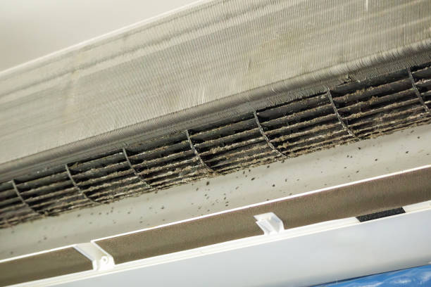 Best HVAC Duct Inspection Services  in Lemon Grove, CA